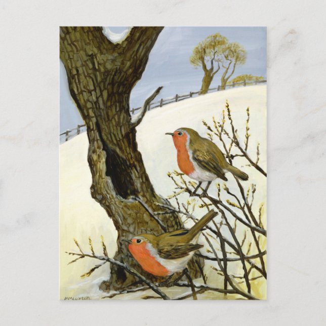 Carte Postale Une paire de Robins (Devant)