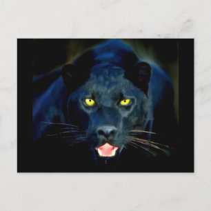 Carte Postale Une panthère noire