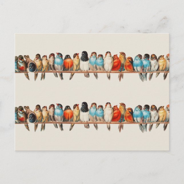 Carte Postale Une perche d'oiseaux par Hector Giacomelli (Devant)