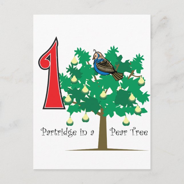 Carte Postale Une perdrix dans un arbre à poires (Devant)