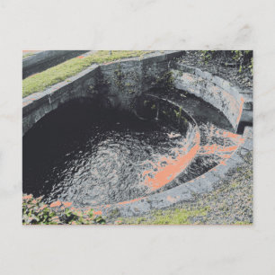 Carte Postale Une piscine orange à Welshpool