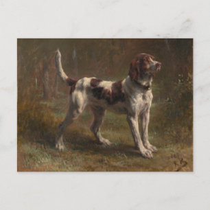 Carte Postale Une poitrine de Briquet Limier