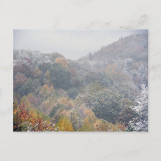 Carte Postale Une première neige à l'automne