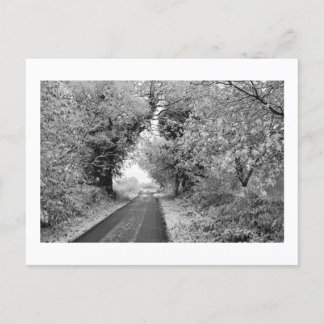 Carte Postale Une route de campagne en hiver : Cheshire, Anglete