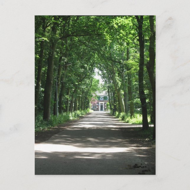 Carte Postale Une ruelle hollandaise à Forrest en Hollande (Devant)