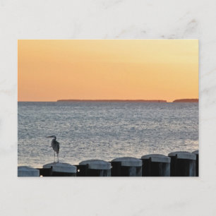 Carte Postale Une Soirée Calme