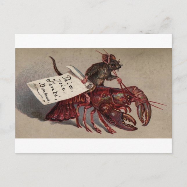 Carte Postale Une souris et son homard (Devant)