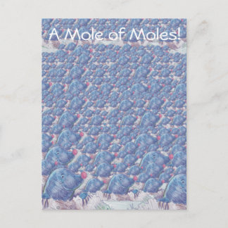 Carte Postale Une taupe Moles Cartoon Avogadro Constant