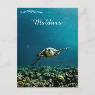 Carte Postale Une Tortue près des Maldives