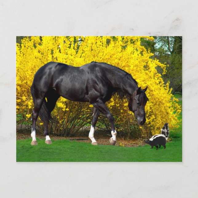 Carte Postale "Une très mauvaise idée" (Devant)