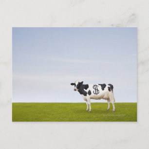 Carte Postale Une vache laitière Holstein avec des taches en for