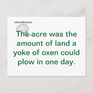 Carte Postale Une vérité