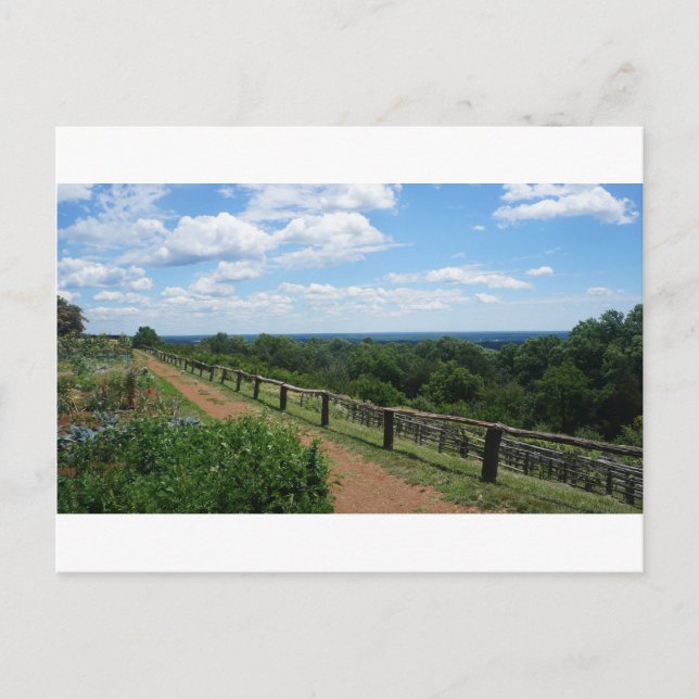 Carte Postale Une vue de Monticello (Devant)