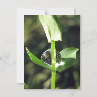 Carte Postale Une vue d'ensemble paisible sur la Méditation de l