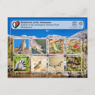 Carte Postale UNESCO - Atsinanana - Parc national Andringitra Po