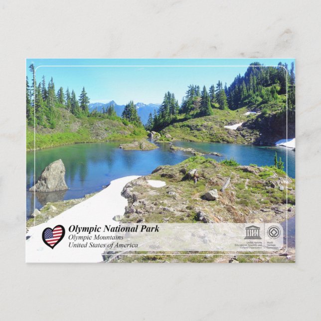 Carte Postale UNESCO - Olympic National Park - Jeux olympiques (Devant)