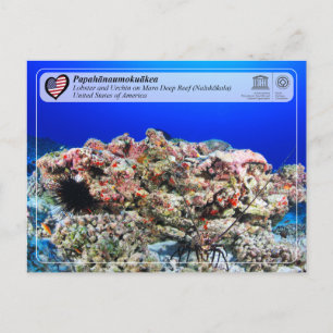 Carte Postale UNESCO - Papahānaumokuākea - Maro Reef