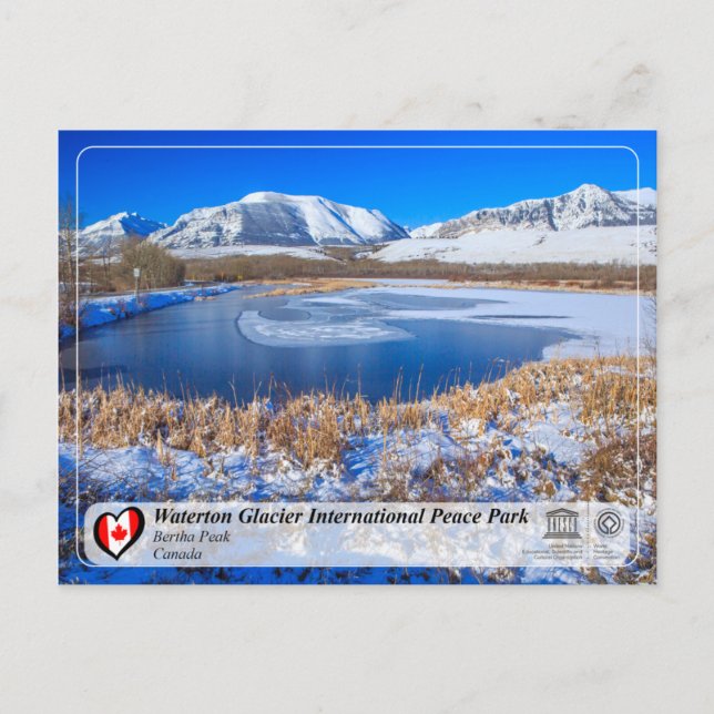 Carte Postale UNESCO - Parc international de la paix du glacier  (Devant)