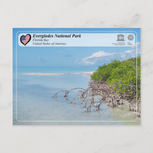 Carte Postale UNESCO - Parc national des Everglades - Floride