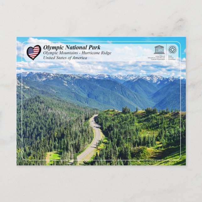 Carte Postale UNESCO - Parc national olympique - Hurricane Ridge (Devant)