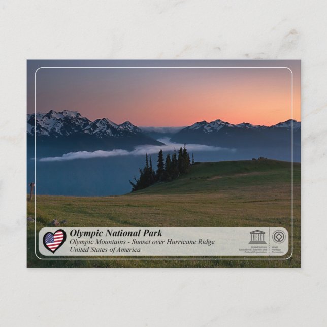 Carte Postale UNESCO - Parc national olympique - Hurricane Ridge (Devant)
