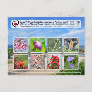 Carte Postale UNESCO - Partie septentrionale de l'île d'Okinawa 