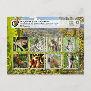 Carte Postale UNESCO WHS - Atsinanana - Parc national de Ranomaf