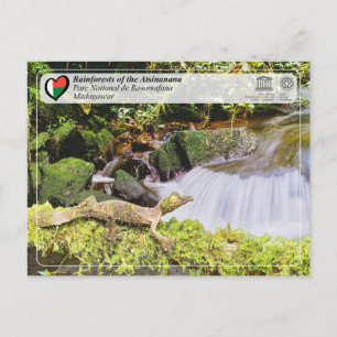 Carte Postale UNESCO WHS - Atsinanana - Parc national de Ranomaf
