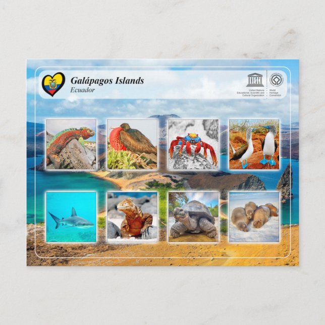 Carte Postale UNESCO WHS - Îles Galápagos (Devant)