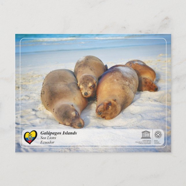 Carte Postale UNESCO WHS - Îles Galápagos - Lions de mer (Devant)