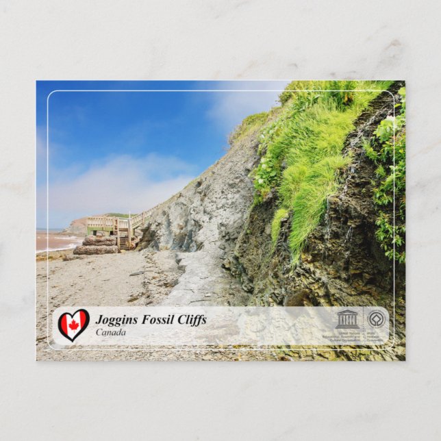 Carte Postale UNESCO WHS - Joggins Falaises Fossiles (Devant)