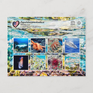 Carte Postale UNESCO WHS - Papahānaumokuākea - La vie marine