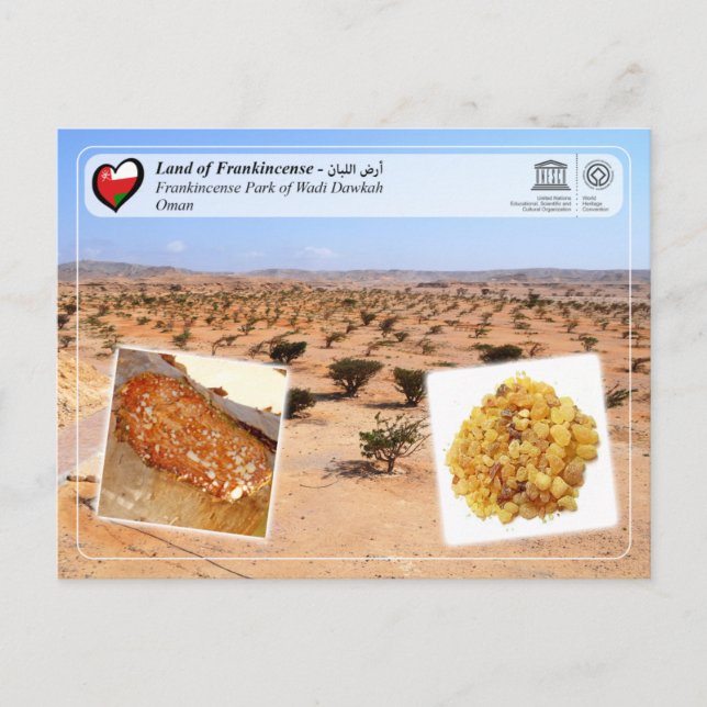 Carte Postale UNESCO WHS - Parc de l'encens de Wadi Dawkah (Devant)