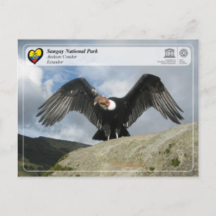 Carte Postale UNESCO WHS - Parc national de Sangay - Condor andi