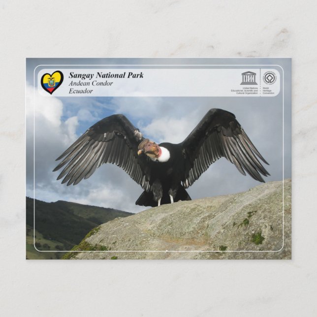 Carte Postale UNESCO WHS - Parc national de Sangay - Condor andi (Devant)