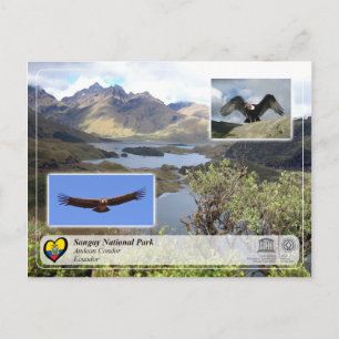 Carte Postale UNESCO WHS - Parc national de Sangay - Condor andi