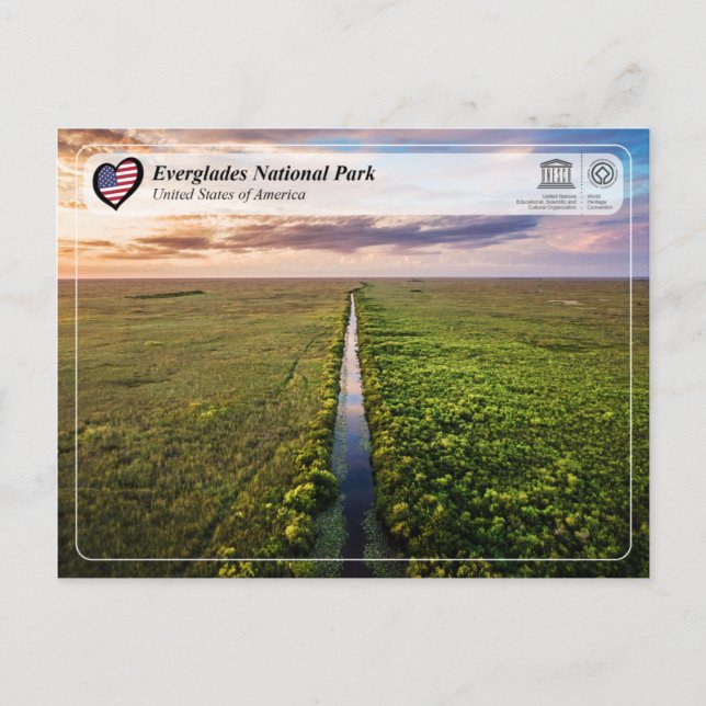 Carte Postale UNESCO WHS - Parc national des Everglades (Devant)