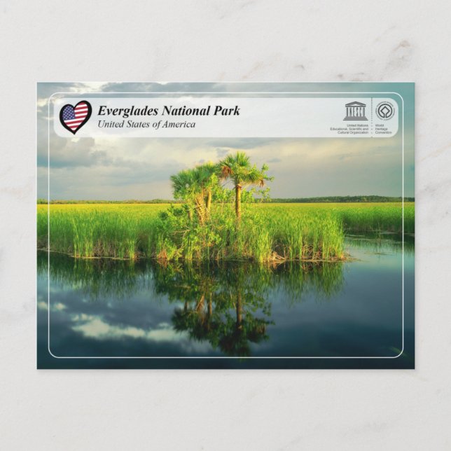 Carte Postale UNESCO WHS - Parc national des Everglades (Devant)