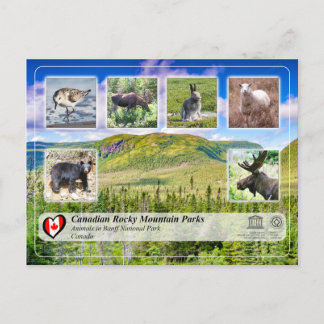 Carte Postale UNESCO WHS - Parc national du Gros Morne