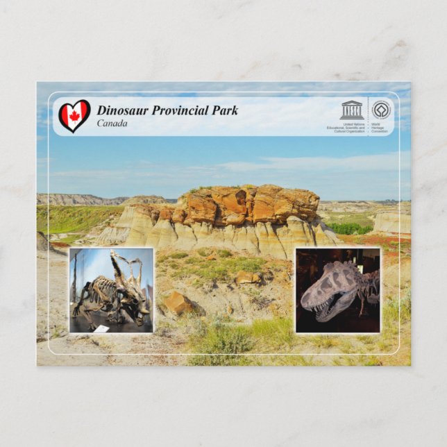 Carte Postale UNESCO WHS - Parc provincial de Dinosaur (Devant)