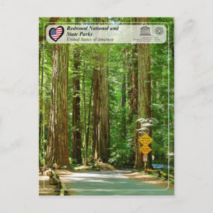 Carte Postale UNESCO WHS - Parcs nationaux et nationaux de Redwo