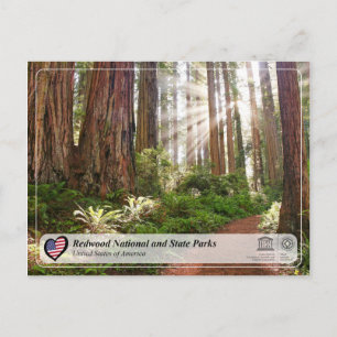 Carte Postale UNESCO WHS - Parcs nationaux et nationaux de Redwo