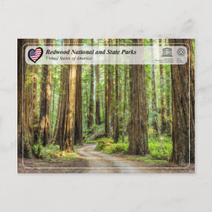 Carte Postale UNESCO WHS - Redwood National and State Parks
