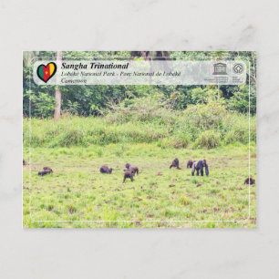 Carte Postale UNESCO WHS - Sangha Trinational - Lobéké