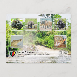 Carte Postale UNESCO WHS - Sangha Trinational - Lobéké