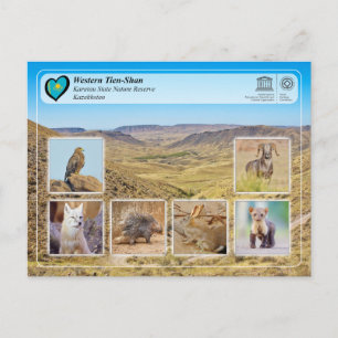 Carte Postale UNESCO WHS - Tien Shan occidental - Réserve nature