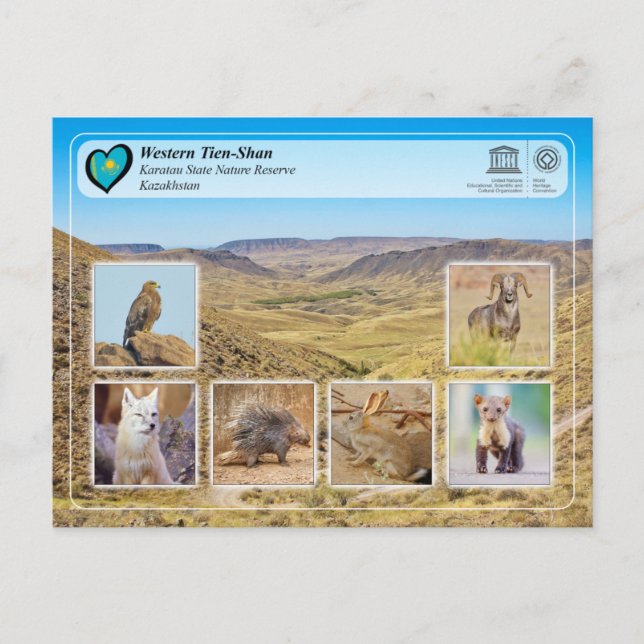 Carte Postale UNESCO WHS - Tien Shan occidental - Réserve nature (Devant)