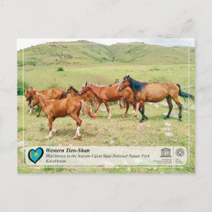 Carte Postale UNESCO WHS - Tien-Shan occidental - Sairam-Ougam