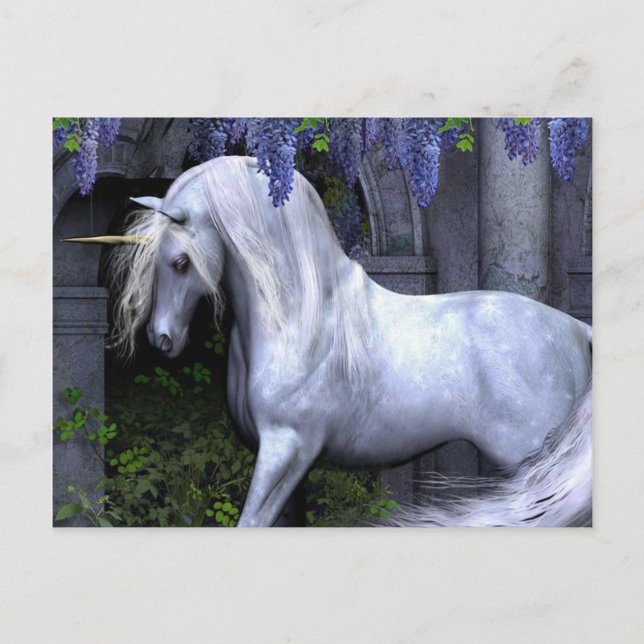 Carte Postale Unicorne (Devant)