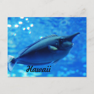 Carte Postale Unicorne